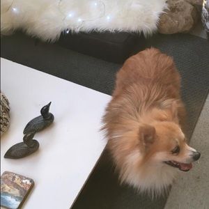 Meet your Posher, Zara